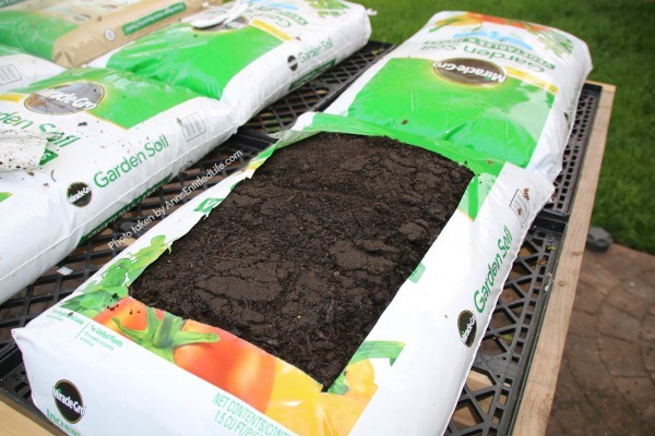 How to Grow Vegetables in Garden Soil Bags. Learn how to grow vegetables in soil bags eliminating the need for garden planters or in-ground planting. Grow your vegetables from seed, and have fresh vegetables all summer long with very little gardening work!