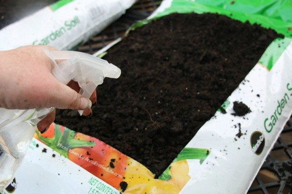 How to Grow Vegetables in Garden Soil Bags. Learn how to grow vegetables in soil bags eliminating the need for garden planters or in-ground planting. Grow your vegetables from seed, and have fresh vegetables all summer long with very little gardening work!