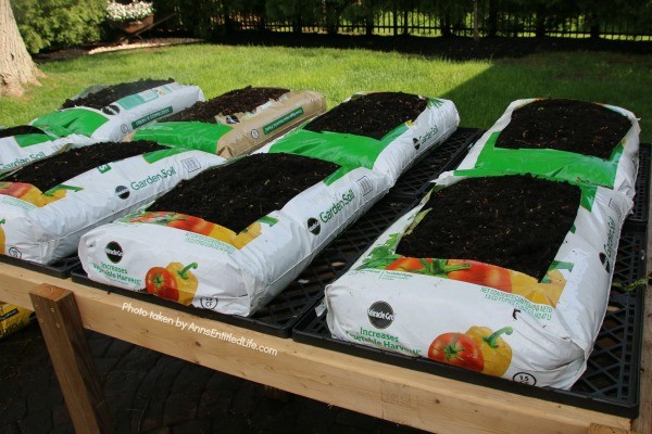 How to Grow Vegetables in Garden Soil Bags. Learn how to grow vegetables in soil bags eliminating the need for garden planters or in-ground planting. Grow your vegetables from seed, and have fresh vegetables all summer long with very little gardening work!