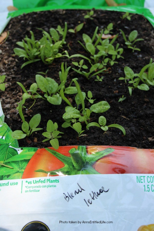 How to Grow Vegetables in Garden Soil Bags. Learn how to grow vegetables in soil bags eliminating the need for garden planters or in-ground planting. Grow your vegetables from seed, and have fresh vegetables all summer long with very little gardening work!