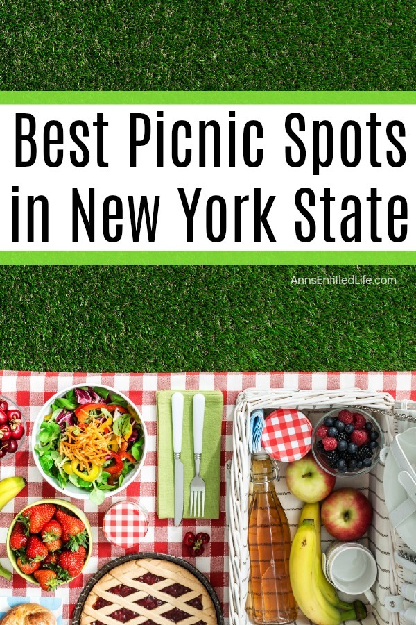 Best Picnic Spots in New York State. With plenty of options to have a picnic, you are not lacking for amazing spots around New York State to have a fun experience. You can combine history, water sports or exploration with your picnic. However, you want to enjoy your outing, make sure you bring enough food and drink for everyone. And do not forget the sunscreen. Have fun and bon appétit.