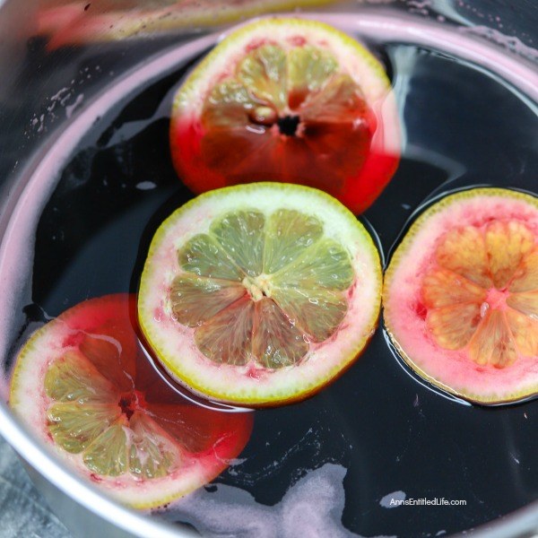 Autumn Harvest Sangria Recipe. This delicious autumn harvest sangria is the perfect recipe for fall! Made with delicious fruits from the bountiful gathering of end-of-season produce, this fall sangria recipe is perfect for gatherings or feasts! Try this fabulous sangria recipe tonight.