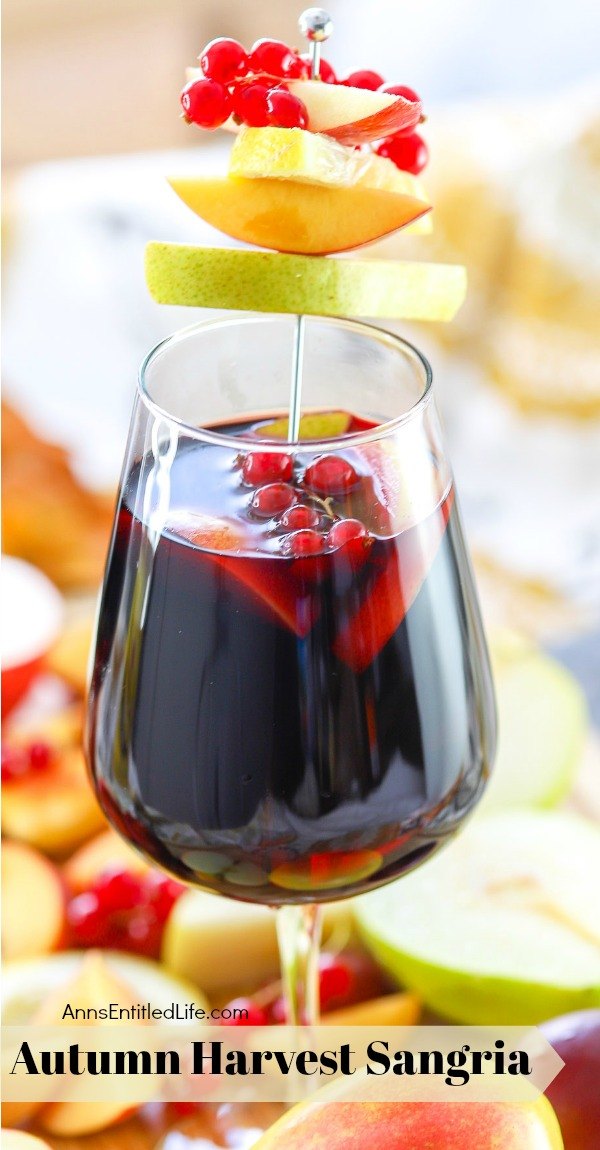 picture of a glass of autumn sangria garnished with red current, apples, pears on a sliver pic, on top of a bed of cut fall fruit