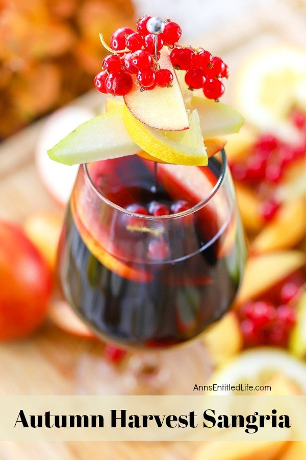 overhead shot of a glass of autumn sangria garnished with red current, apples, pears on a sliver pic, on top of a bed of cut fall fruit