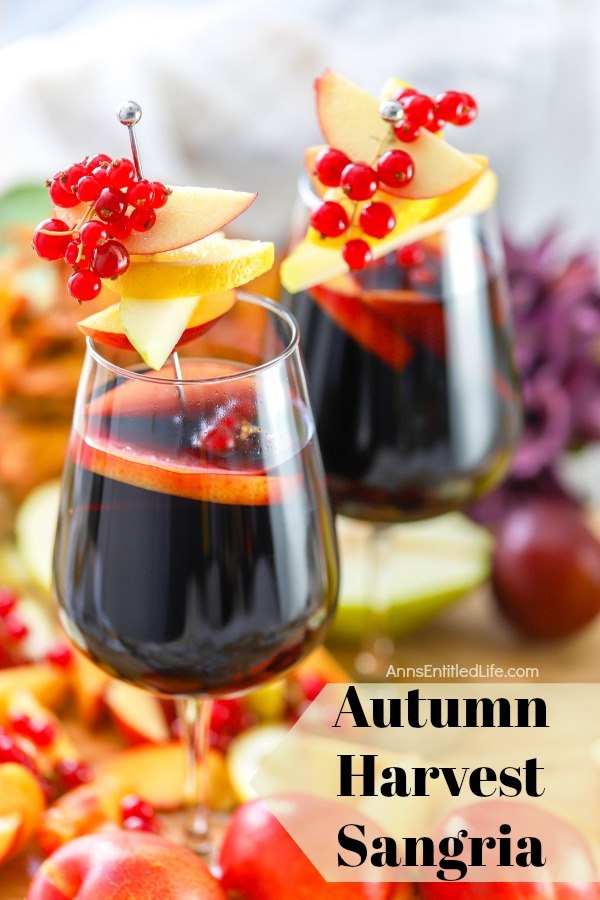 two glasses of autumn sangria garnished with red current, apples, pears on a sliver pic, on top of a bed of cut fall fruit
