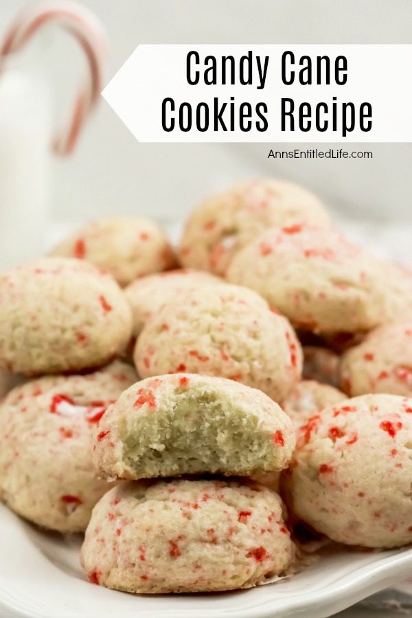 up close photo of a white plate of round candy cane cookies, focus on a bitten cookie with the interior exposed