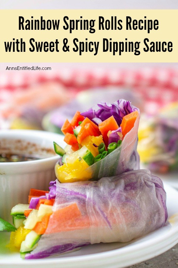 one spring roll sitting on top of another, vegetables showing outward, on top of a white plate, dipping sauce in a white ramekin on the left, blurred background