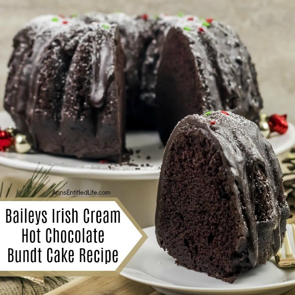 Baileys Irish Cream Hot Chocolate Bundt Cake Recipe. This chocolate cake recipe is rich, creamy, soft, and perfect for friends and family. The alcohol is cooked out of this cake, leaving behind only the delicious flavors of Baileys Irish Cream behind.