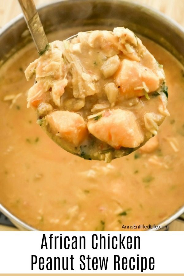 a ladle fill of african peanut stew being lifted from a soup pot full of the stew