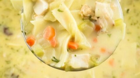 Creamy Turkey Soup Recipe