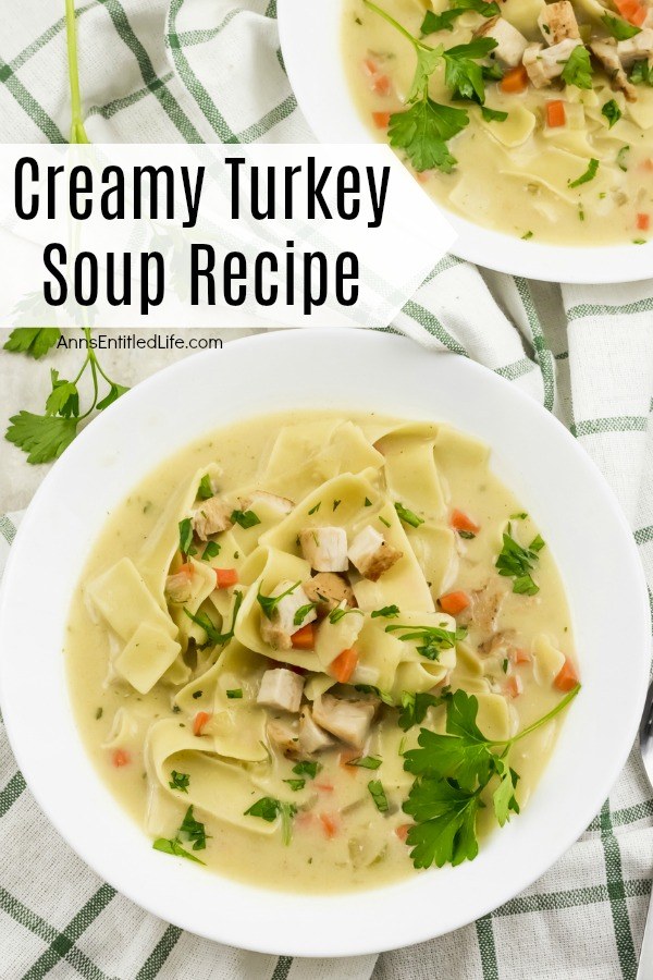 A white bowl filled with creamy turkey soup on top of a green and white checked napkin, a second bowl in the upper right