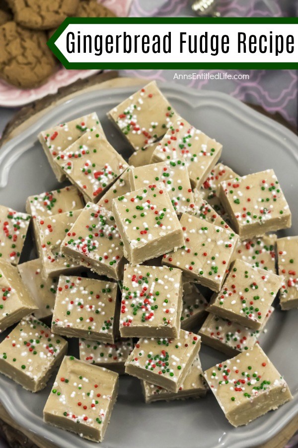 An overhead view of a grey serving platter filled with cut pieces of gingerbread fudge. There is a plate of gingersnap cookies in the upper left.