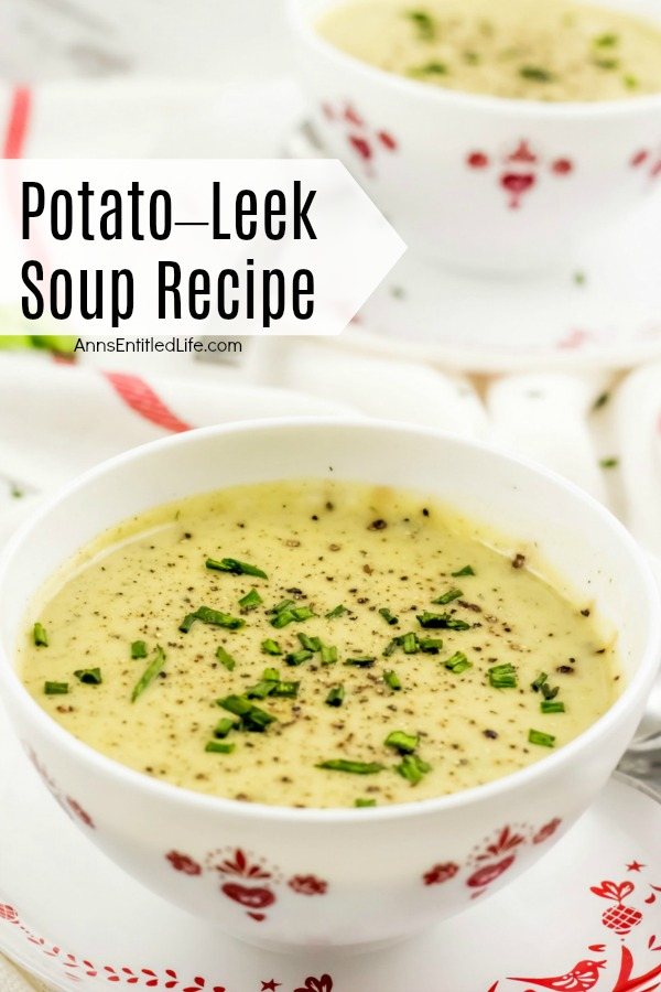 potato-leek soup garnished with chives in a white bowl on a white and red patterned plate. A second bowl of soup is in the upper right background.