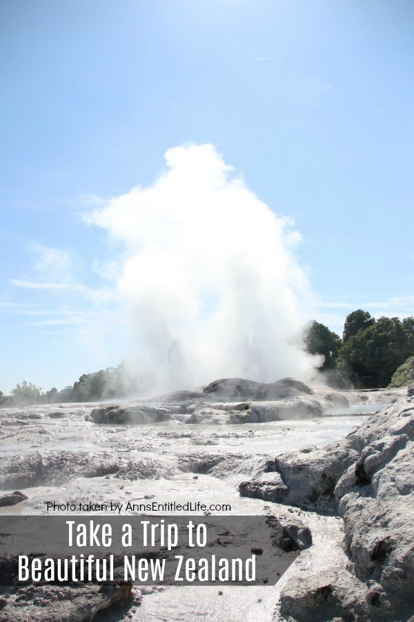 Photo of geyser in New Zealand