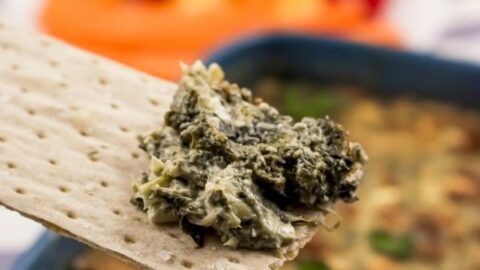 Fresh Spinach Artichoke Hot Dip Recipe