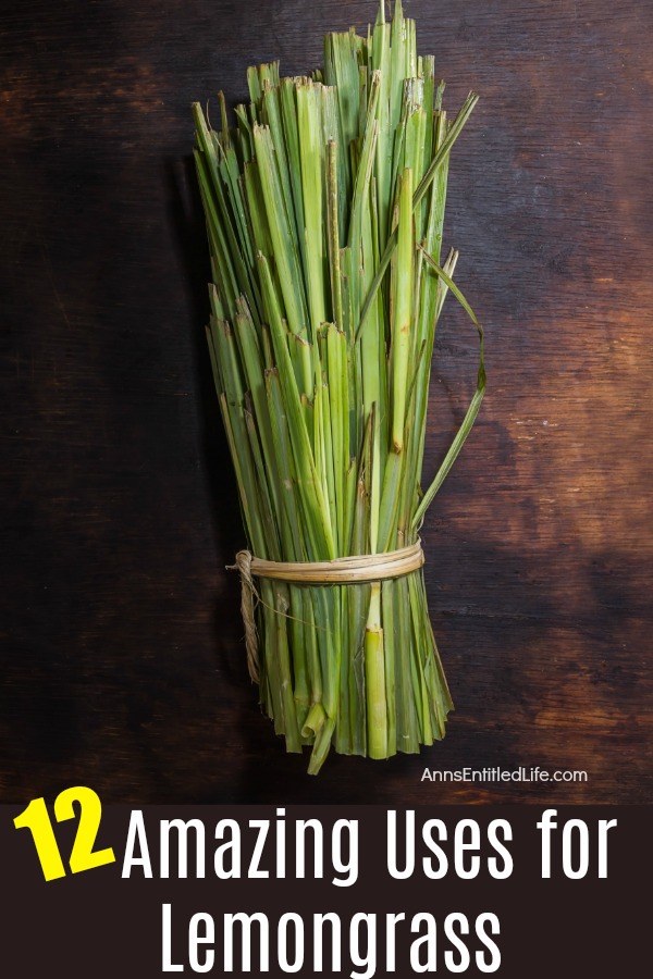 a bundle of cut lemongrass tied with a twine, on a dark brown background