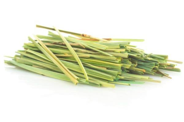 12 Amazing Uses for Lemongrass. There are a lot of uses for lemongrass from culinary to cleaning to gardening benefits. If you are growing lemongrass, you will want to explore these 12 great ways to use lemongrass!