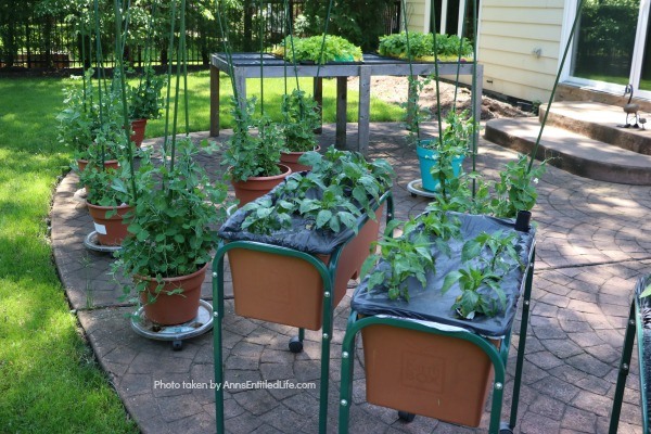 Backyard Patio Oasis. This is our backyard patio oasis. It is where we can go to relax on a beautiful summer day. Entertaining is a breeze with the three different seating areas, and I still have a patio container garden!