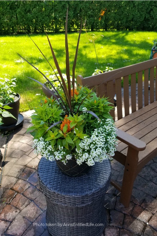 Backyard Patio Oasis. This is our backyard patio oasis. It is where we can go to relax on a beautiful summer day. Entertaining is a breeze with the three different seating areas, and I still have a patio container garden!