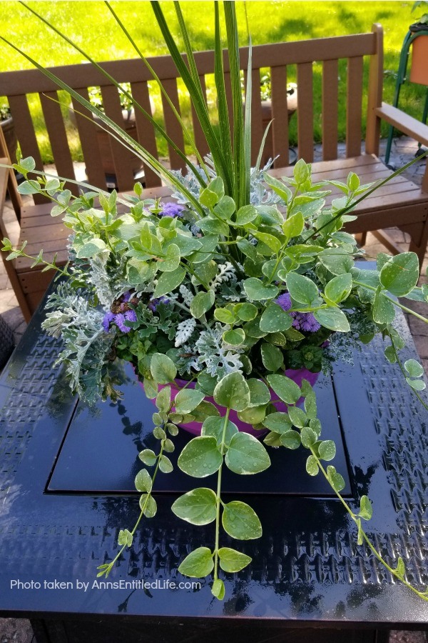 Backyard Patio Oasis. This is our backyard patio oasis. It is where we can go to relax on a beautiful summer day. Entertaining is a breeze with the three different seating areas, and I still have a patio container garden!