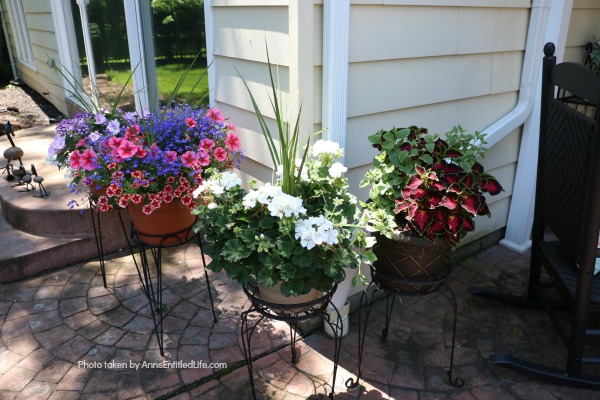 Backyard Patio Oasis. This is our backyard patio oasis. It is where we can go to relax on a beautiful summer day. Entertaining is a breeze with the three different seating areas, and I still have a patio container garden!