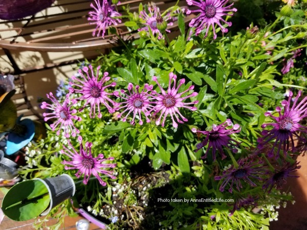 How to Make Beautiful Flower Pots at Home | Easy Plant Steps. Making flower pots at home is a fun and creative way to spruce up your garden or patio. With just a few simple flowers and materials, you can create beautiful and unique flower pots that will add charm to any outdoor space. In this article, you will be shown how to make flower pots at home with step-by-step instructions, so you can start creating your own unique flower planters today!