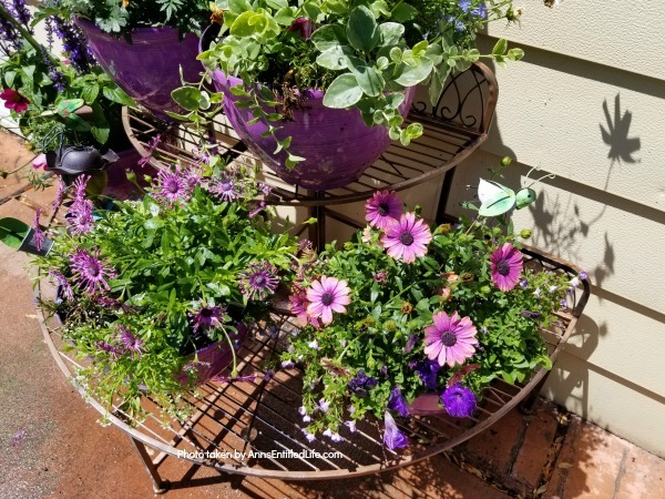 Backyard Patio Oasis. This is our backyard patio oasis. It is where we can go to relax on a beautiful summer day. Entertaining is a breeze with the three different seating areas, and I still have a patio container garden!