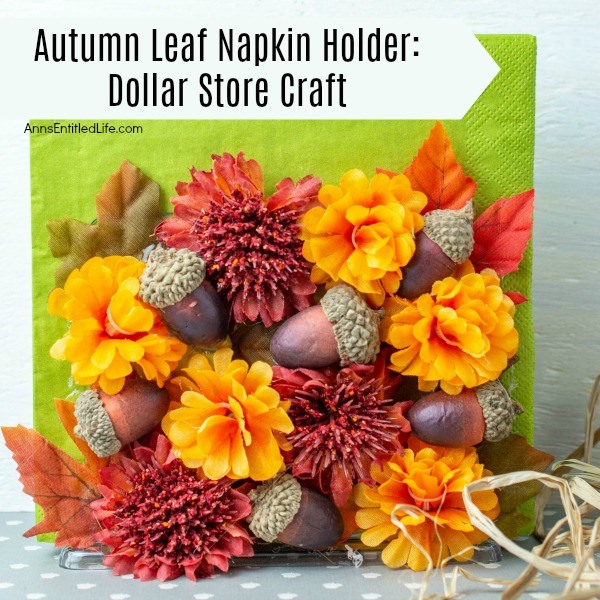 Autumn Leaf Napkin Holder: Dollar Store Craft. If you are looking for a fun, easy to make fall craft to dress up your kitchen counter or table, make this simple fall foliage napkin holder! Filled with acorns, leaves, and fall flowers, you can effortlessly make some autumn decor to make your house part of the fall season.