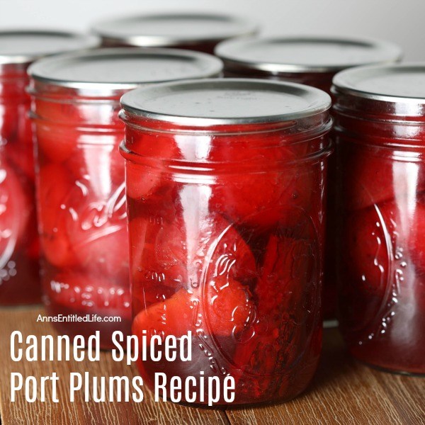 Canned Spiced Port Plums Recipe. Canning plums is a delicious way to preserve your fresh fruit plums for later use. This terrific spiced port plums water bath canning recipe is a great way to process your plums for later use. Can now, eat later!