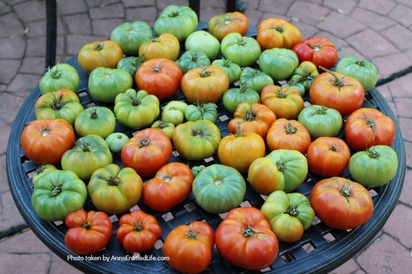 The Ultimate Guide To Freezing Vegetables. Freeze those garden vegetables when they are at their peak of freshness. Here are 35 how to freeze vegetables tutorials, encompassing veggies from A-Z. You might be surprised at some of the vegetables you can freeze and enjoy once peak growing times have ended when you have a freeze full of healthy goodness. Do not let in-season vegetables go to waste.