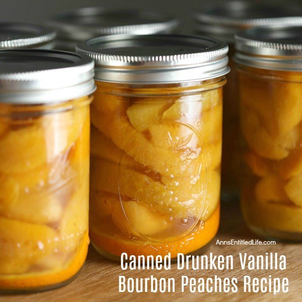 Canned Drunken Vanilla Bourbon Peaches Recipe. Canning peaches is a delicious way to preserve your fresh fruit peaches to eat when the peach season is over. This terrific drunken vanilla bourbon peaches water bath canning recipe is a great way to process your peaches. Can now, enjoy later! 