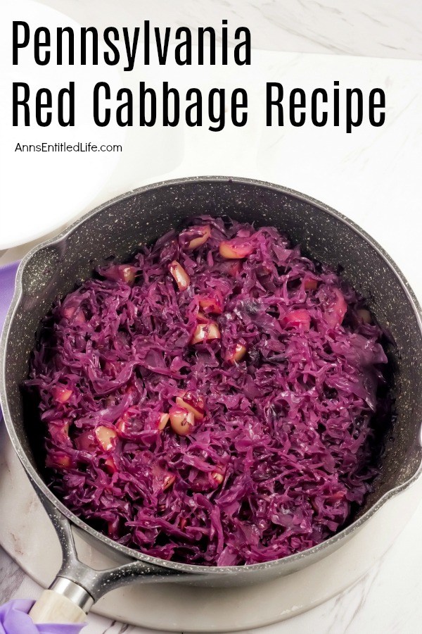 A close-up of a pan filled with cooked Pennsylvania red cabbage.