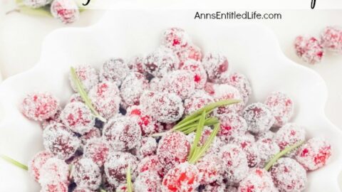 Sugared Cranberries Recipe