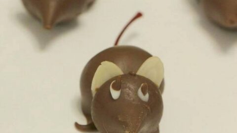 Boozy Chocolate Christmas Mice Recipe