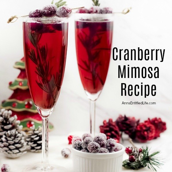 Cranberry Mimosa Drink Recipe. This cranberry mimosa drink is a festive holiday beverage. This is a perfect holiday drink for your holiday brunch; it can also be served at cocktail parties, to ring in the New Year, or for any other holiday celebration you may have.