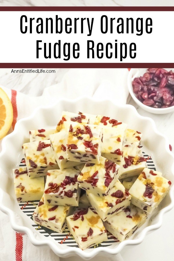 An overhead view of a white bowl fills with a stack of cranberry orange fudge pieces. There is a bowl of dried cranberries in the upper right, and a few slices of orange in the upper left.