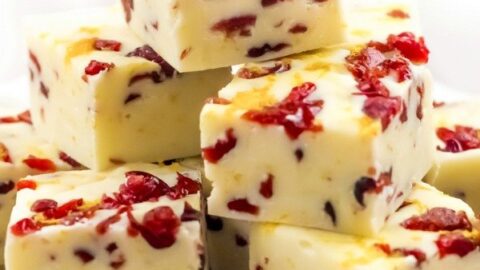 Cranberry Orange Fudge Recipe