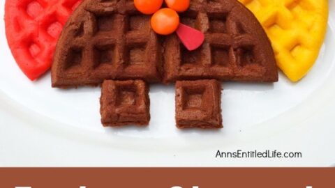 Turkey Waffle Recipe