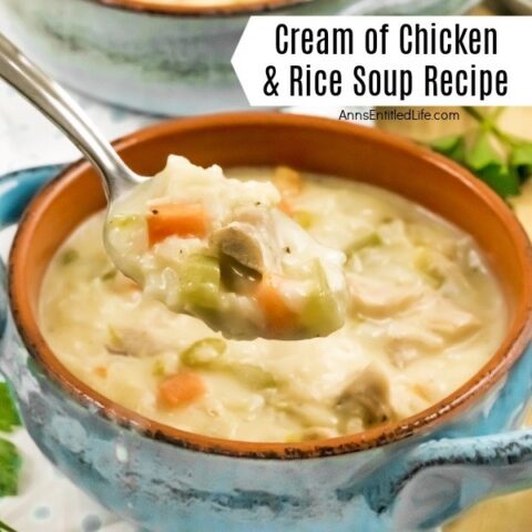 Cream of Chicken and Rice Soup Recipe
