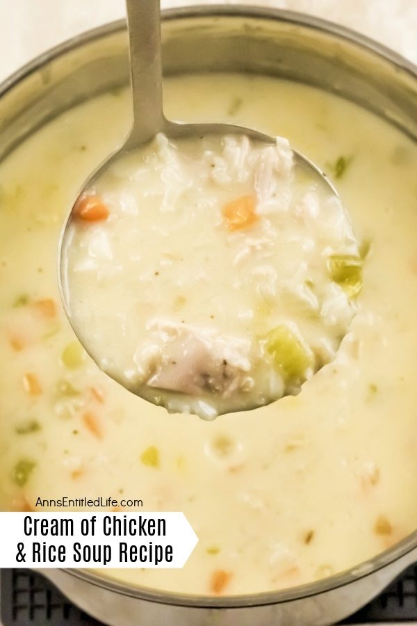 a ladle full of cream of chicken and rice soup is being raised from the stockpot below