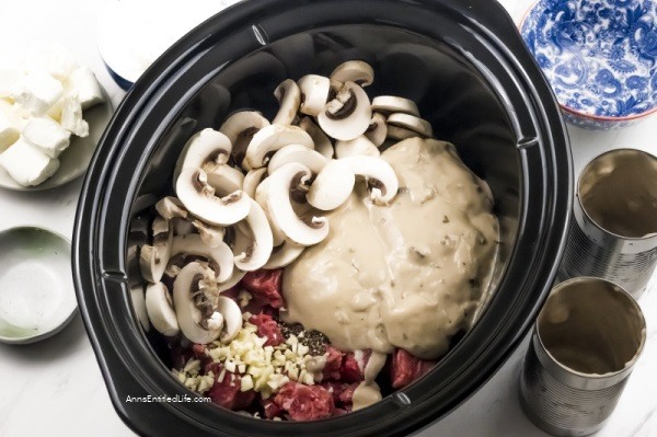 Easy Slow Cooker Beef Stroganoff Recipe. This easy-to-make Slow Cooker Beef Stroganoff Recipe makes dinner a breeze. Delicious and creamy with meat so tender you can cut it with a fork, your family will definitely be asking for seconds!