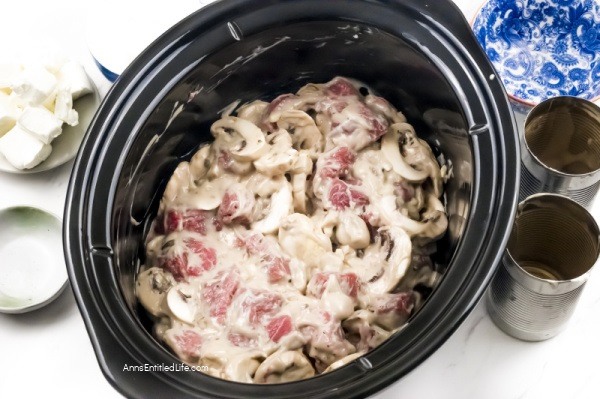 Easy Slow Cooker Beef Stroganoff Recipe. This easy-to-make Slow Cooker Beef Stroganoff Recipe makes dinner a breeze. Delicious and creamy with meat so tender you can cut it with a fork, your family will definitely be asking for seconds!