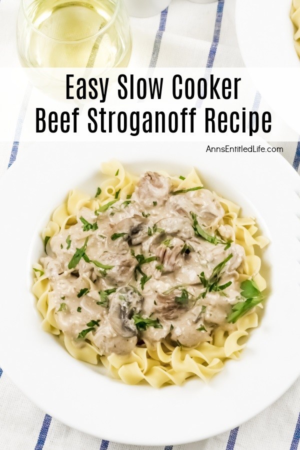 An  overhead shot of a white bowl filled with beef stroganoff sitting atop a white and blue tablecloth. There is a glass of white wine above the white bowl.