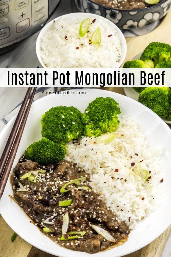 A white plate filled with Mongolian beef, rice, and broccoli, a set of chopsticks is resting on the right side of the plate. A bowl of white rice is above the plate, a bowl of broccoli is to the right, above that is a bowl of Mongolian beef. To the upper left of the rice bowl is an instant pot.
