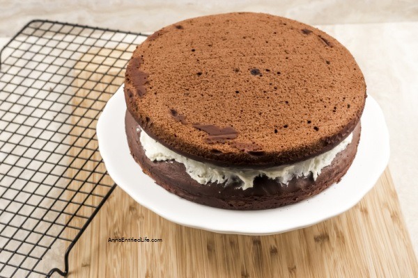 Perfect Chocolate Cake Recipe. This Perfect Chocolate Cake Recipe really is perfectly delicious! So chocolatey good, moist, and flavorful, this from-scratch chocolate cake recipe is very easy to make. Your entire family will love this chocolate cake recipe.