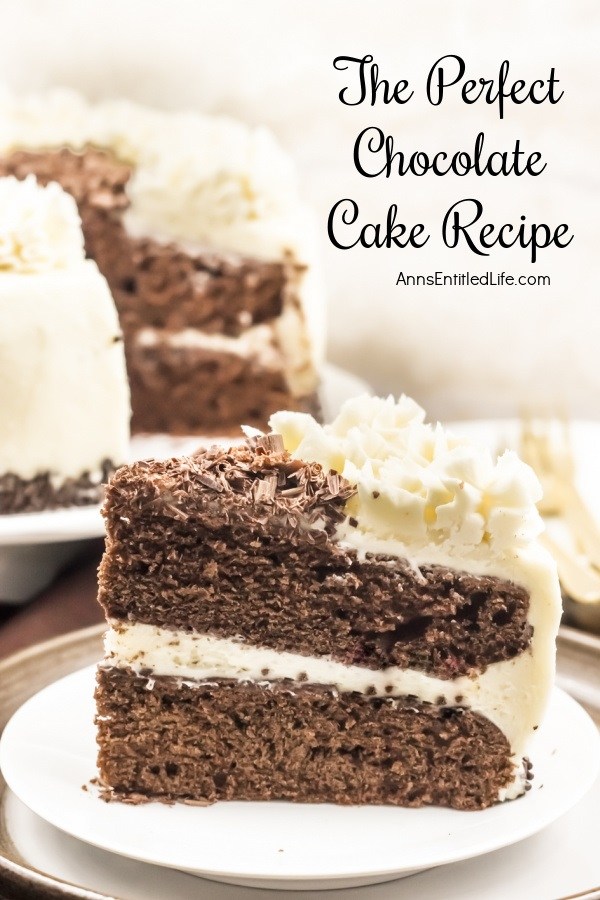 A piece of chocolate cake on a white plate is front and center. The remaining chocolate cake is on a white cakestand in the background.