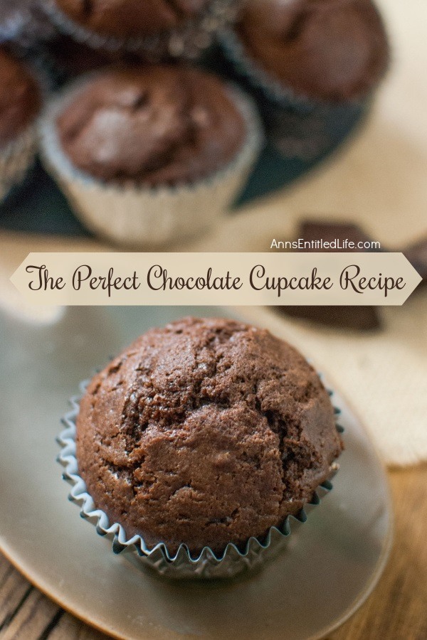 An overhead view of one chocolate cupcake on a grey plate. Above that, a blue plate is filled with chocolate cupcakes.