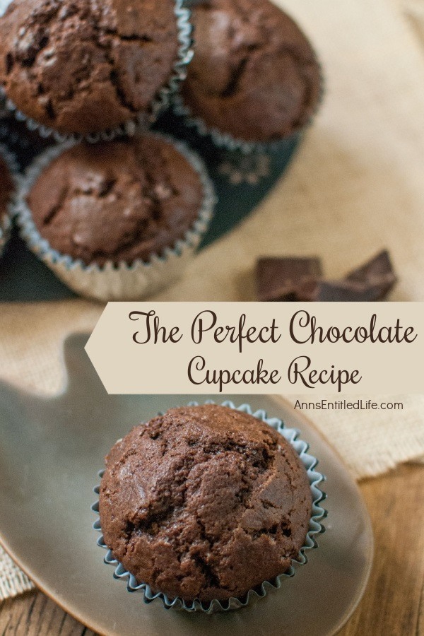 An overhead view of one chocolate cupcake on a grey plate. Above that, a blue plate is filled with chocolate cupcakes.