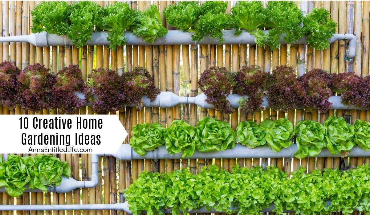 10 Creative Home Gardening Ideas