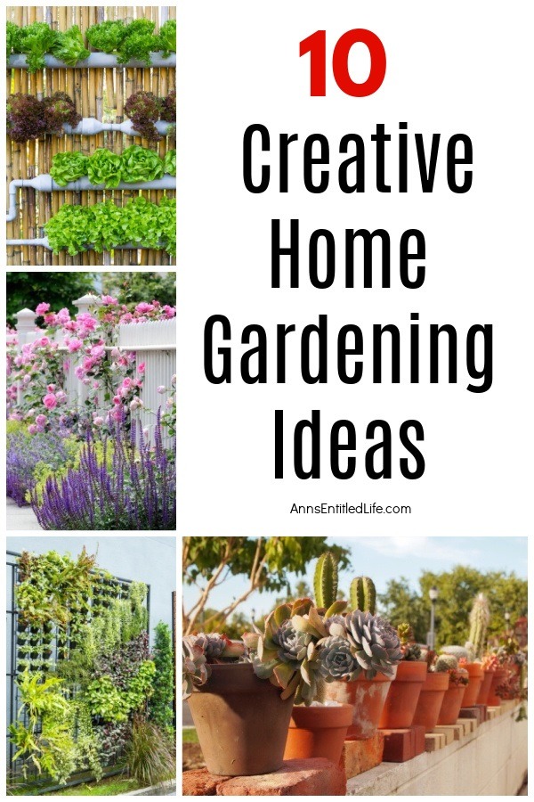 A collage of four photos showing various ways to garden in the backyard